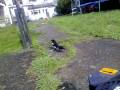 videos de magpie my pet magpie