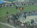 Horse Racing Accident