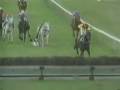 Horse Racing Accident - Jockey gets dragged over a jump Horse Racing Accident - Jockey gets dragged over a jump