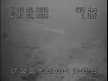elasmo?