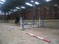 Rounder,Eventers,Connemara