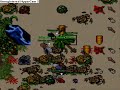 Silvera Tibia