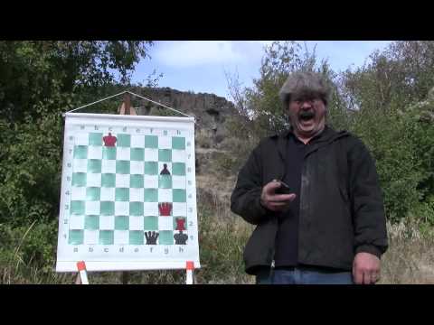 chess knight chess knight