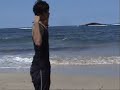 AIM Acrobatic Beach Sampler