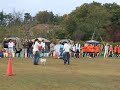 Heelwork to Music Demonstration