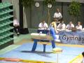 videos de Christophe Pinto Alves (orléans) - Arcons
