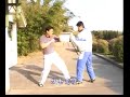Ma Shengli (??? / ???) - Xinyiliuhequan (?????) drills Ma Shengli (??? / ???) - Xinyiliuhequan (?????) drills