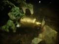 Jacek Kaczmarski&Andriej Tarkowski - Stalker