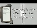 Common Rail Injector