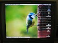PowerBook 1400 booting from compact flash
