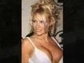 XXX NEW SEX TAPE PAMELA ANDERSON HILLAROUS (RARE)