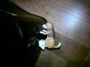Fickender USB-Hund