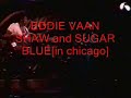 eddie vaan shaw performing live in chicago with the legendary sugar blue