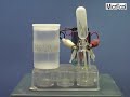 Plastic pipette as electrolytical cell and eudiometer