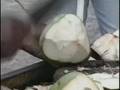 Windward Islands Travel Doc 01