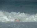 ryan hardy clip