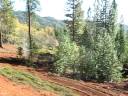 40 Acres Off Grid 4 - Cabin View 40 Acres Off Grid 4 - Cabin View