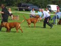 Dutch Clubmatch 2008