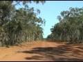 Cape York- Lakefield NP