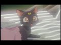 Sailor Moon S Movie AMV (A Girl's Legend)
