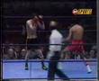 Charlie Magri - Freddie Gonzalez