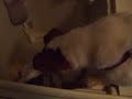 washing