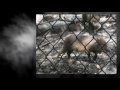 Belize Zoo - Belize, Central America