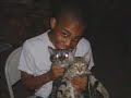 R.I.P. My LoverBoy - Feline Leukemia Virus flv Cat Kitten