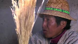 https://www.youtube.com/embed/aHHooU5C-tI