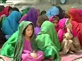 Zmosh Gran Hewad Afghanistan- De Shamlo Watan