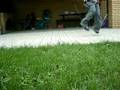 videos de 4 months of cwalkin|also rly rusty rofl|