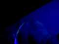 MENEO LIVE  @ miscel�nea 20-1-08