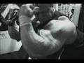 Bodybuilding-Monster