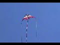 Ray Bethel Kite Video