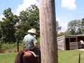 cowboy birthday party
