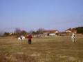 videos de moi a cheval