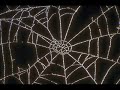 Escape The Fate-The Webs We Weave (chipmunk) Escape The Fate-The Webs We Weave (chipmunk)