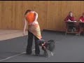 Sendy - Dogdancing - Brasa 1/2007