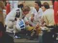 F1-1978-Monza-Ronnie