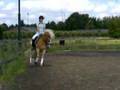 Danique & Linda @ dressuur work. Z2 haflinger
