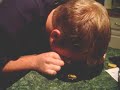 Wasabi Funyuns Snooter