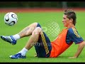 cicinhocristiano ronaldo e fernando torres