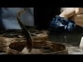Assistir ao vídeo