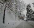 Macerata innevata