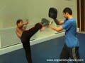 capoeira   mestre espirro mirim