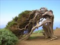ISLA DE EL HIERRO canarias