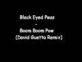 Black Eyed Peas - Boom Boom Pow (David Guetta Remix)