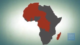 Morocco: Thousands Face Needless Suffering at End of Life