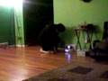 videos de Simon and Irene.. Walk it out