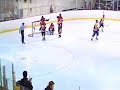 fitzy goal